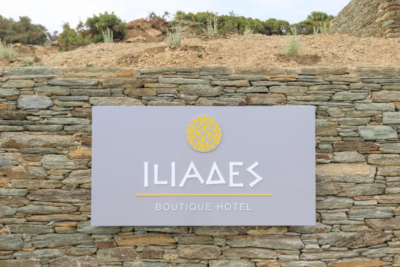 Iliades Luxury Boutique Suites Batsi  Bagian luar foto